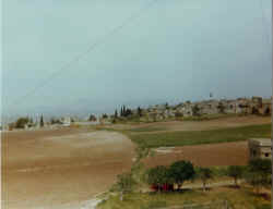 Lebanon May 1978 (8).jpg (242901 byte)
