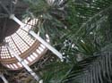 IMG_3513