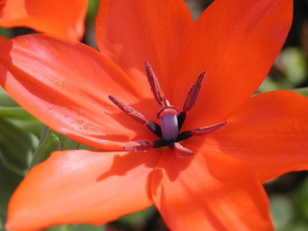 P5069400