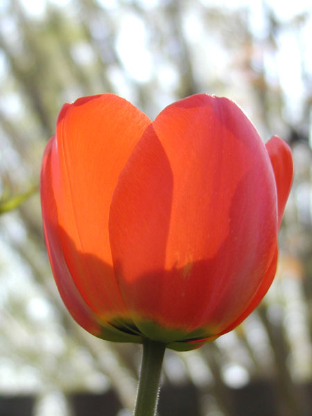 P5079450