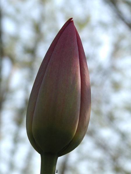 P5079454