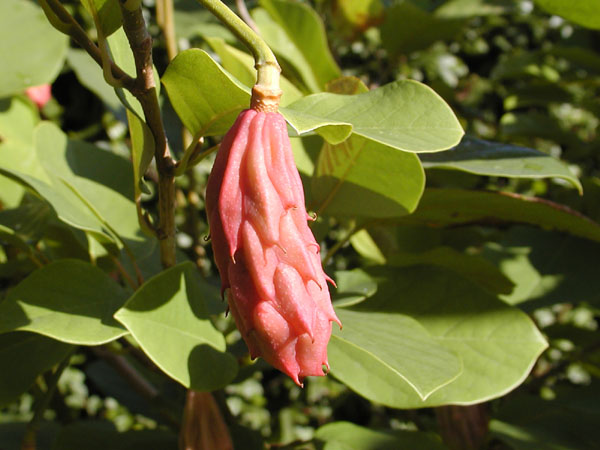 P9131794