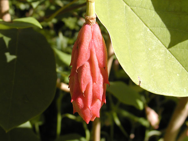 P9131795