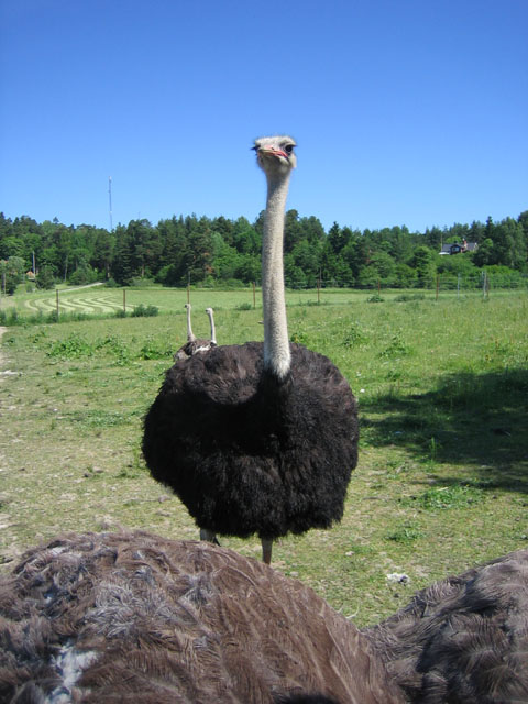 IMG_1556