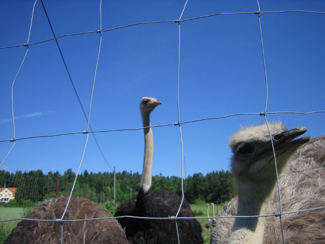 IMG_1574