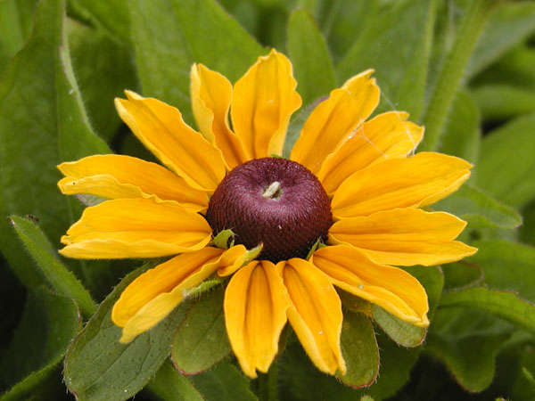 P7310629
