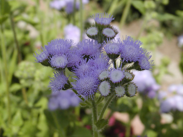 P7310635